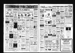 Castlegar News 1987-05-31, page 8