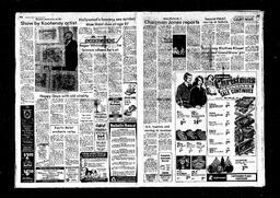 Castlegar News 1980-11-23, page 3