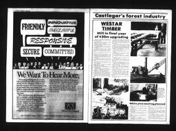 Castlegar News 1988-03-30, page 13