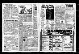 Castlegar News 1965-04-15, page 3