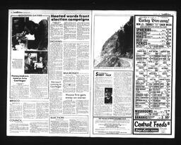 Castlegar News 1988-11-02, page 2