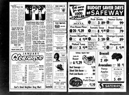 Castlegar News 1973-01-04, page 2