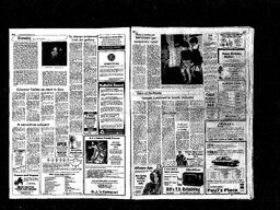 Castlegar News 1981-03-22, page 3