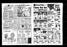 Castlegar News 1979-01-04, page 10