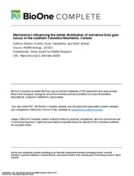 Mechanisms influencing the winter distribution of wolverine Gulo gulo luscus in the southern Columbia Mountains, Canada