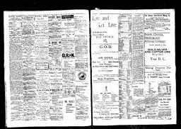   Rossland Evening Record 1898-04-04   , page 2
