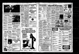 Castlegar News 1980-03-05, page 3
