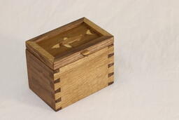 Shark Box