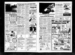 Castlegar News 1978-06-01, page 2