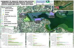 Lake Windermere Ambassadors - Frequency Of Aquatic Vegetation Species Observations During Aquatic Invasive Species Sampling (2011 - 2019): Section A