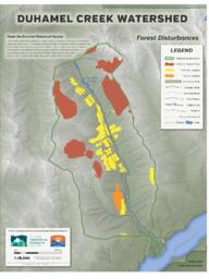 Duhamel Creek (Duhamel Watershed Society) - Forest Disturbances Map