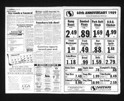 Castlegar News 1989-02-01, page 3