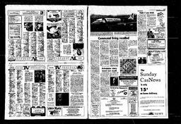 Castlegar News 1980-05-28, page 16