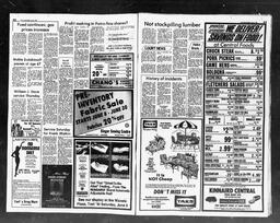Castlegar News 1981-06-03, page 2