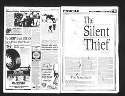   Castlegar Sun 1993-07-07   , page 6