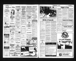 Castlegar News 1988-07-17, page 8