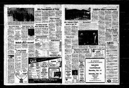 Castlegar News 1980-02-13, page 3