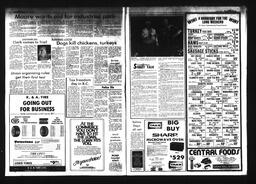 Castlegar News 1984-06-27, page 2
