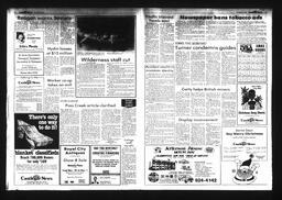 Castlegar News 1984-11-28, page 3