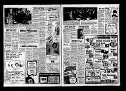 Castlegar News 1977-11-03, page 2