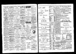   Rossland Evening Record 1898-03-28   , page 3