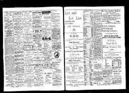   Rossland Evening Record 1898-03-24   , page 3