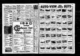 Castlegar News 1979-07-12, page 8