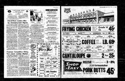 Castlegar News 1960-07-07, page 2