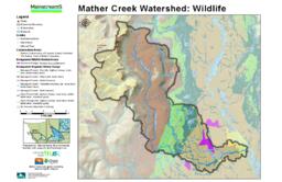 Mather Creek (Mainstreems) - Mather Creek Watershed: Wildlife Tabloid