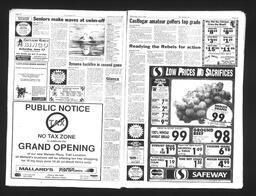   Castlegar Sun 1993-06-09   , page 6