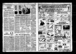 Castlegar News 1982-12-19, page 3