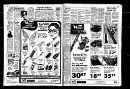 Castlegar News 1980-06-04, page 10