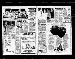 Castlegar News 1976-06-17, page 2
