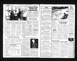 Castlegar News 1988-08-28, page 2