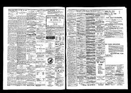   Rossland Evening Record 1897-06-08   , page 2