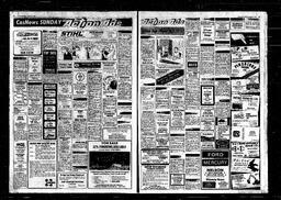 Castlegar News 1982-08-22, page 8