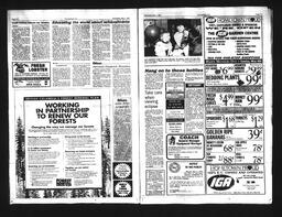   Castlegar Sun 1994-05-04   , page 6