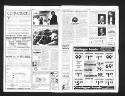   Castlegar Sun 1993-08-04   , page 3