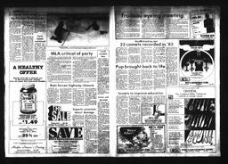 Castlegar News 1984-01-04, page 3