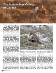 The greater sage-grouse in Canada