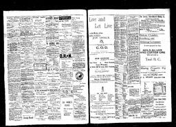   Rossland Evening Record 1898-04-09   , page 2