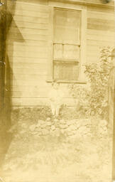 Unknown Toddler by Window