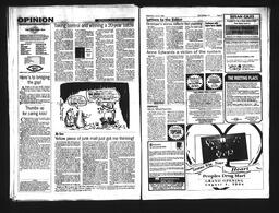  Castlegar Sun 1994-07-20   , page 4