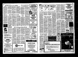 Castlegar News 1981-08-02, page 8