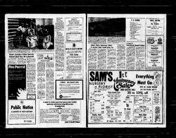Castlegar News 1976-04-15, page 8