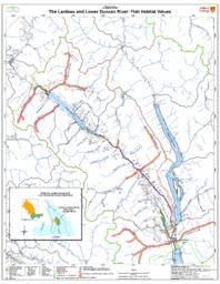 Friends of the Lardeau River GIS & Mapping Support Project - Fish Habitat Values Map