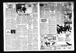 Castlegar News 1987-03-01, page 3