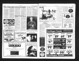   Castlegar Sun 1993-02-03   , page 3