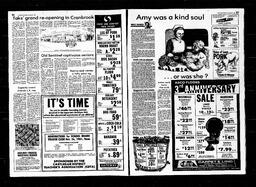 Castlegar News 1981-10-21, page 8