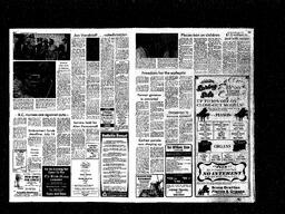 Castlegar News 1981-06-14, page 3